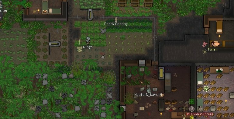 Rimworld мод TropiCKAPP Rainforest